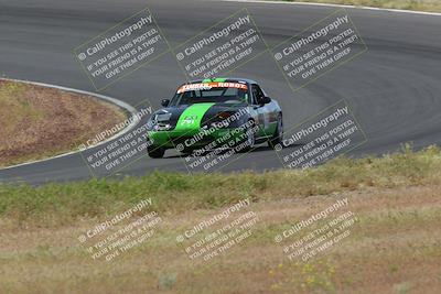 media/May-04-2024-Lucky Dog Racing (Sat) [[d39539b3f3]]/Race Pics/1015am (Turn 2)/